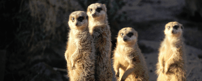 Marketing Heroes in College Station, TX - Image of Reputation_Management