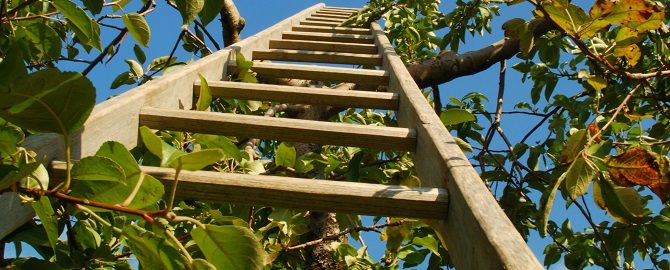Marketing Heroes in College Station, TX - Image of staircase